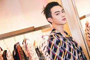 吃瓜娱乐间许凯,吃瓜娱乐间，揭秘明星背后的故事