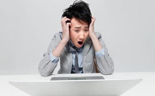 娱乐圈吃瓜爆料免费进,免费吃瓜爆料，带你领略幕后风云