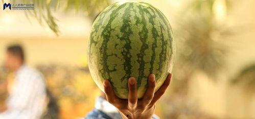 可以吃瓜娱乐圈,揭秘明星幕后故事