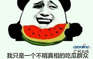 娱乐吃瓜老板是谁啊图片