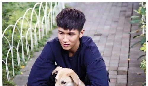 娱乐吃瓜柯震东,揭秘娱乐圈的“小鲜肉”风波